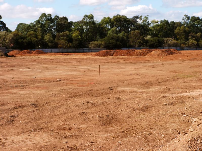 Land Grading in Progress