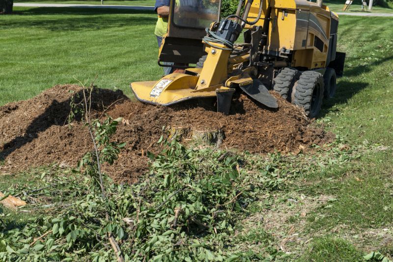Stump Grinding Operation