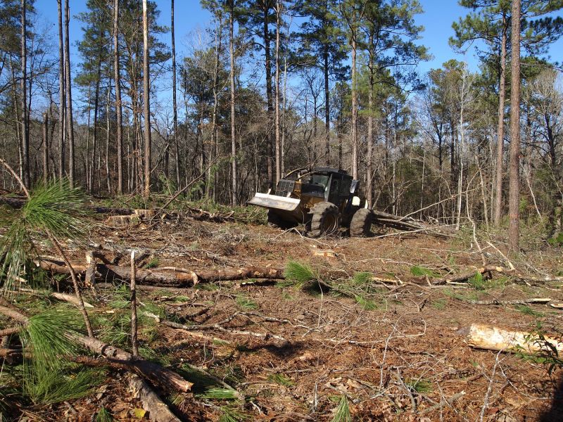 Land Clearing Process