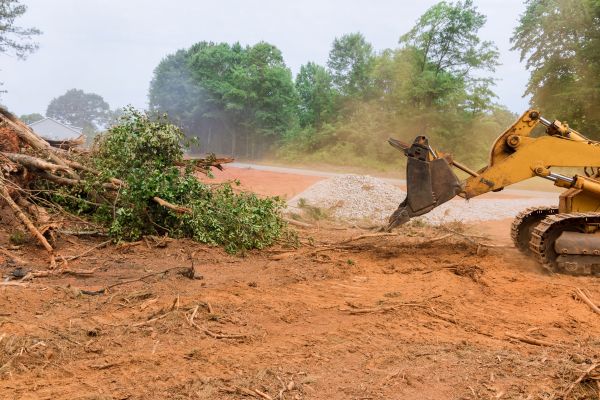 Ground Clearing in Denver