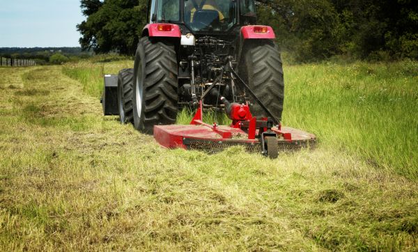 Brush Clearing Service in Denver