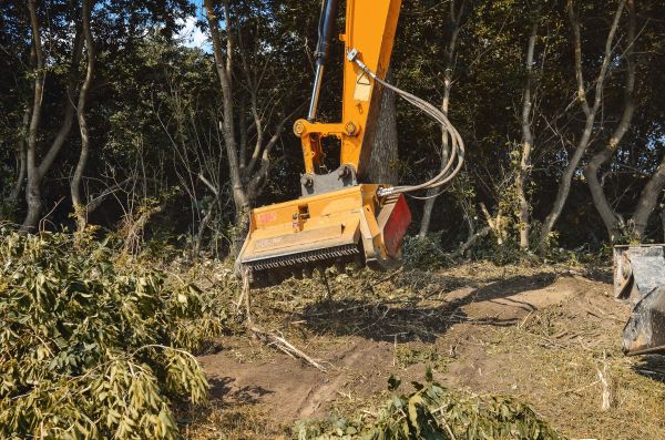 Brush Removal Service in Denver
