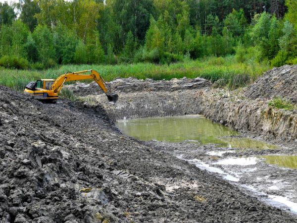 Cost of Lake Lot Clearing in Denver