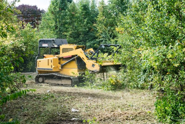 Cost of Pathway Clearing in Denver