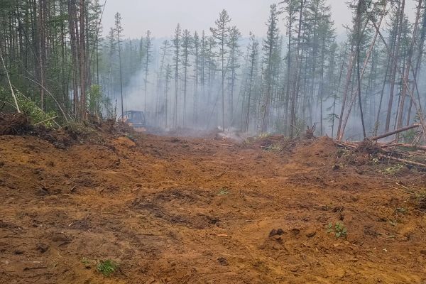 Cost of Hill Clearing in Denver