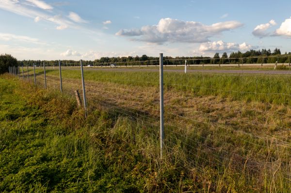 Cost of Property Line Clearing in Denver