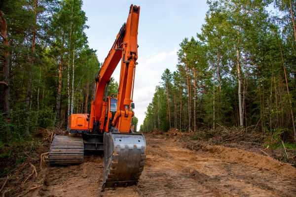 Cost of Backhoe Land Clearing in Denver