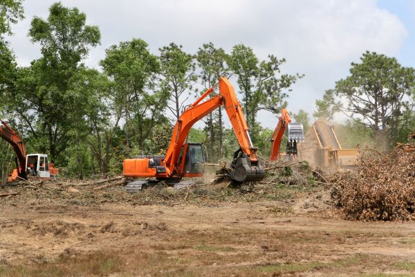 Cost of Commercial Lot Clearing in Denver