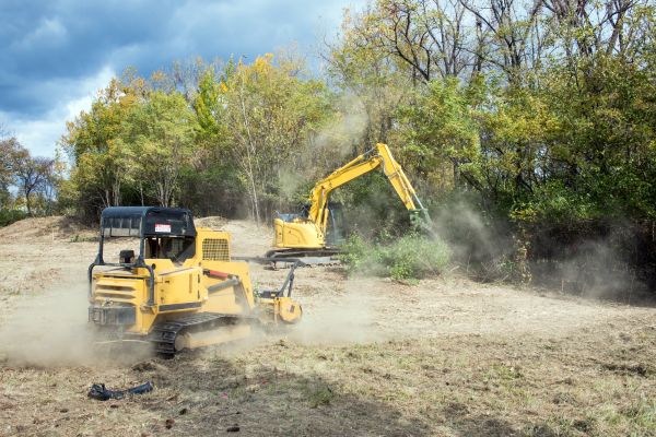 Cost of Terrain Clearing in Denver