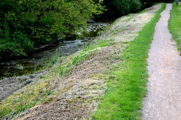 Cost of Trail Cutting in Denver